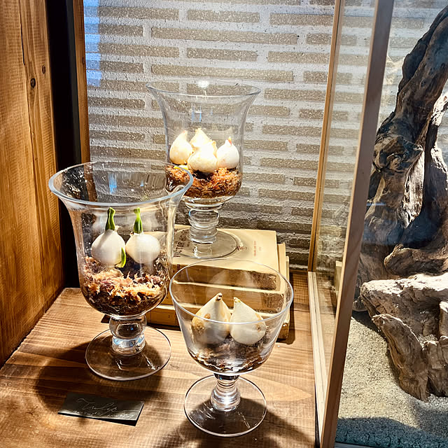 TCFJさんの部屋