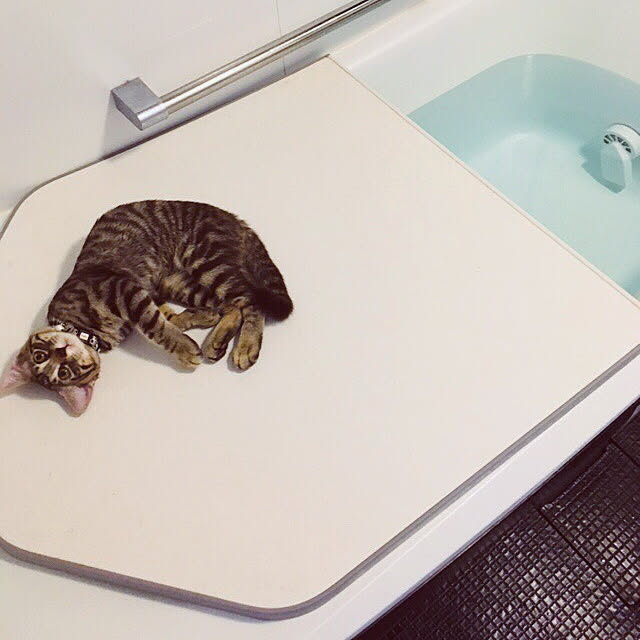 terrainさんの実例写真