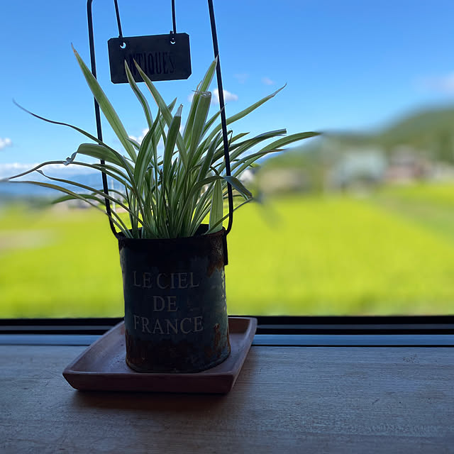 keikoさんの部屋