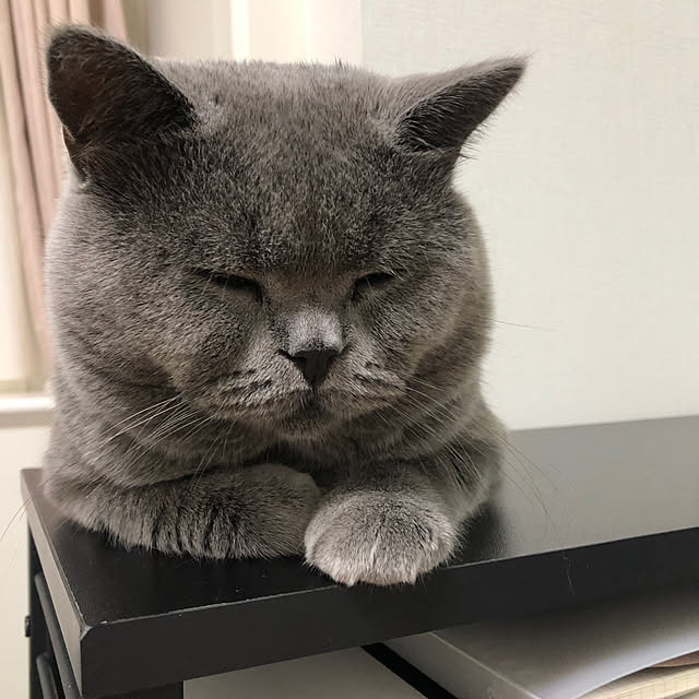 GUMIMINさんの実例写真