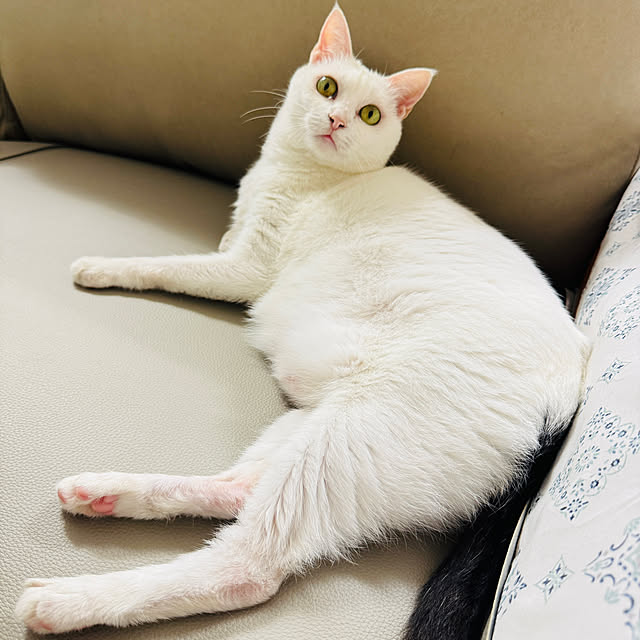 pcu110さんの実例写真