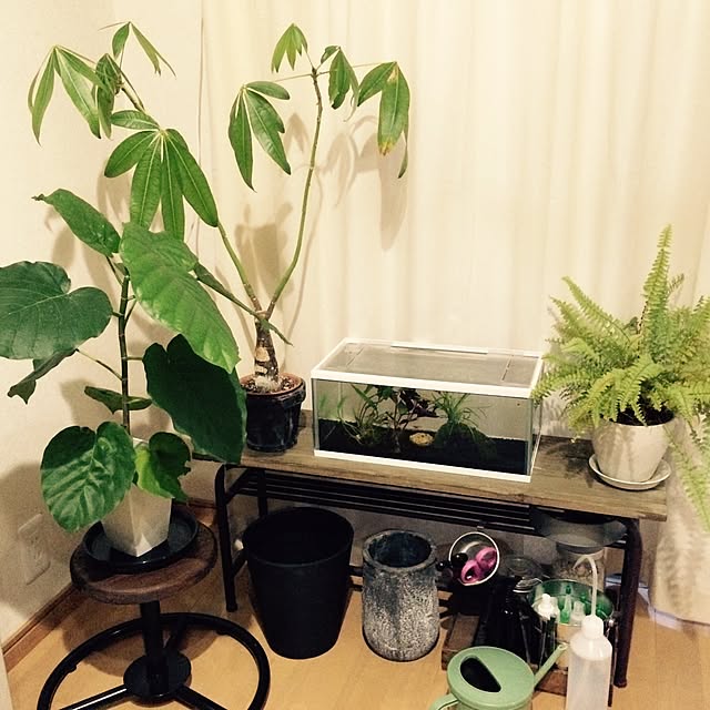 interior_yuさんの実例写真