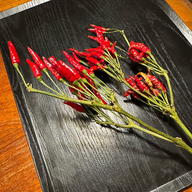 mamizaさんの部屋