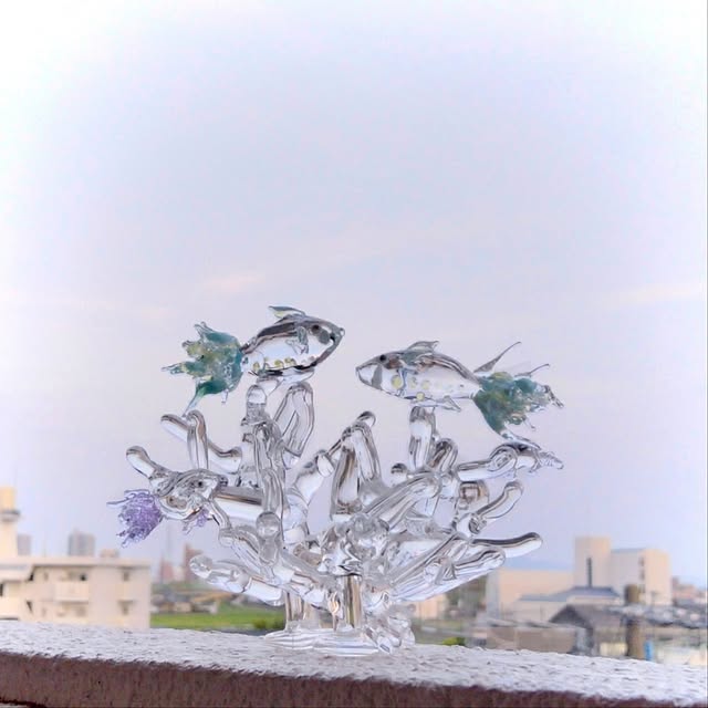 reko639さんの部屋