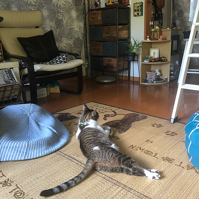 jijiさんの実例写真