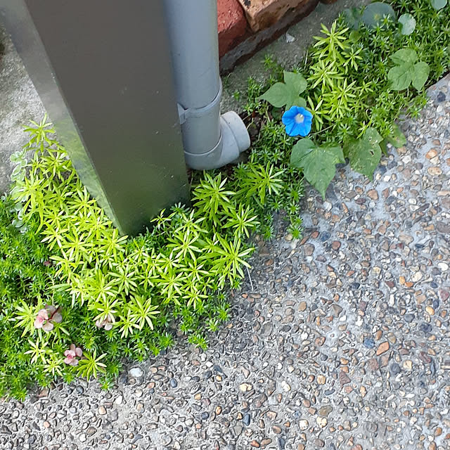 amtさんの実例写真