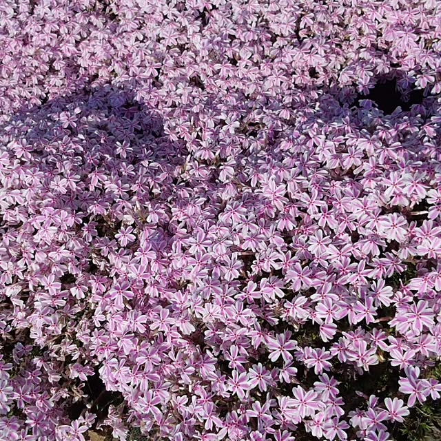 norikuuさんの実例写真