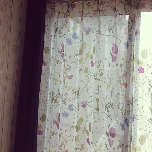 Ikumiさんの実例写真