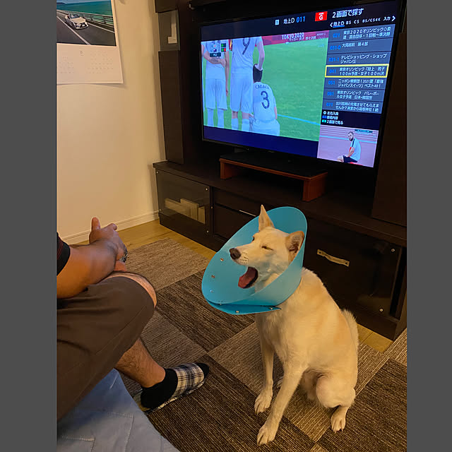 tanboさんの実例写真