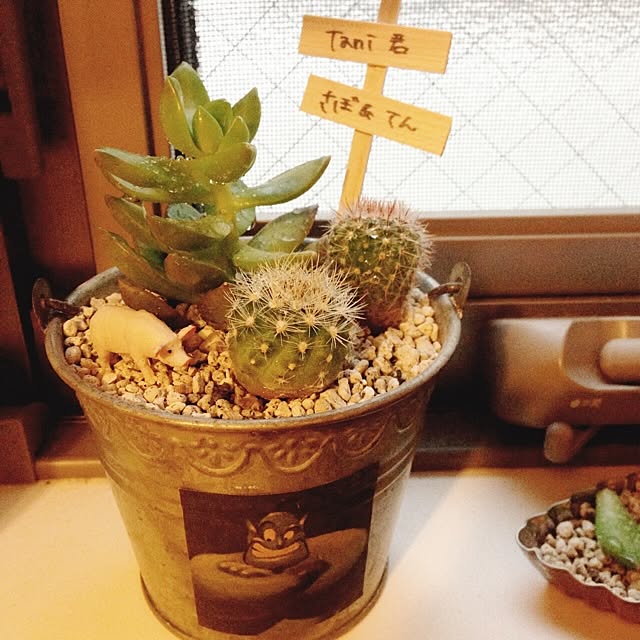 hassyさんの実例写真