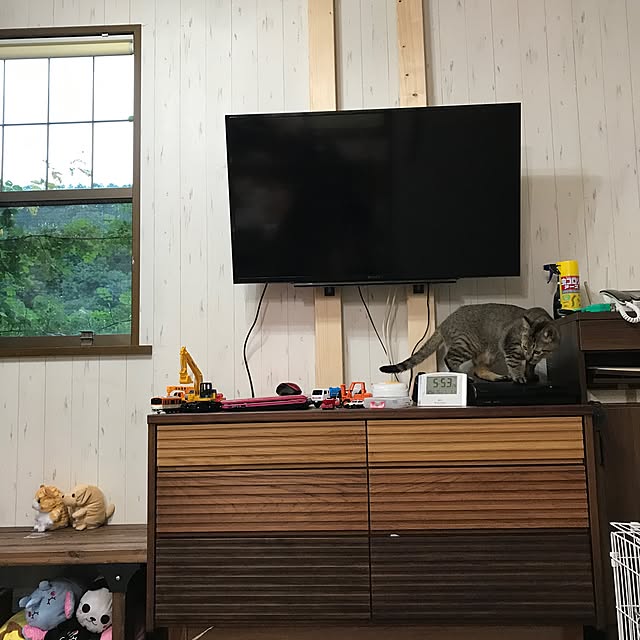 pepeさんの実例写真