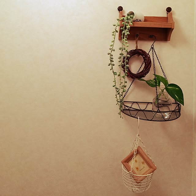 バス/トイレ/セリア/賃貸/100均/観葉植物のインテリア実例 - 2015-02-10 16:38:51