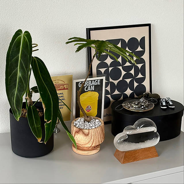 mumuさんの実例写真