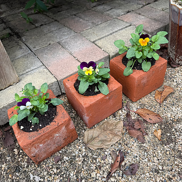 sakakenさんの実例写真