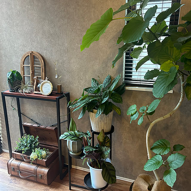 kalbiさんの部屋