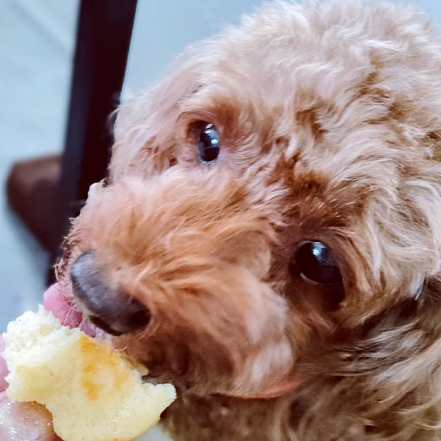 MOMOMAMAさんの実例写真