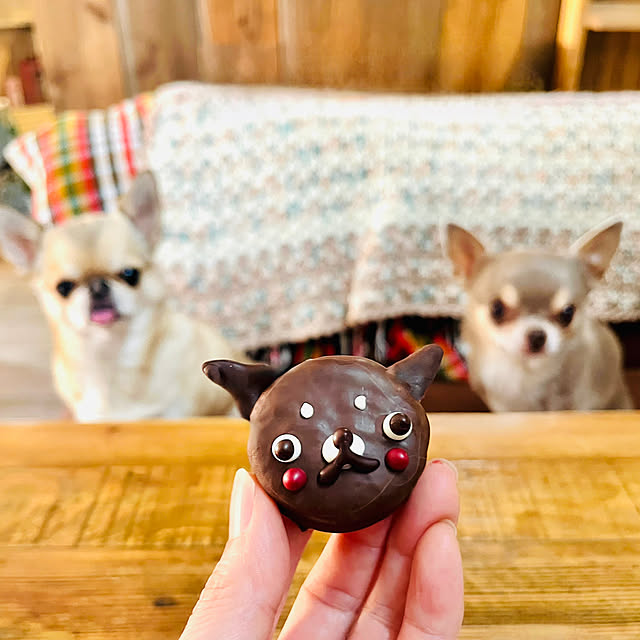 harumaruさんの実例写真