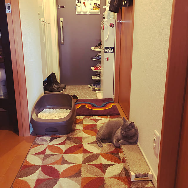 ikettenさんの実例写真