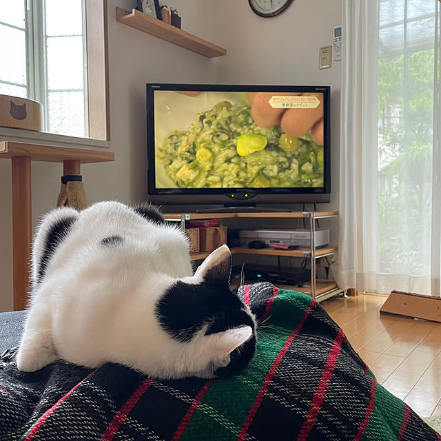 nobikoさんの部屋