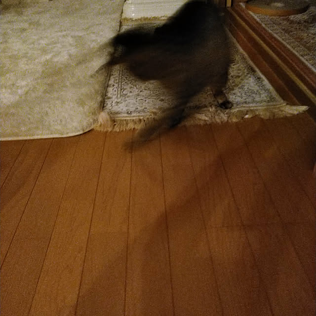 lilyさんの実例写真