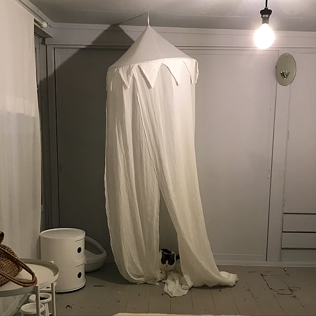Shihoさんの実例写真