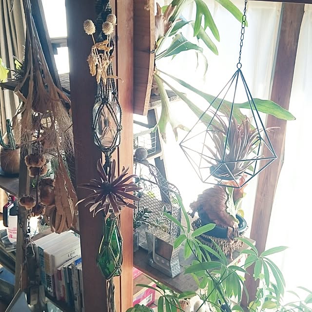 takenさんの実例写真