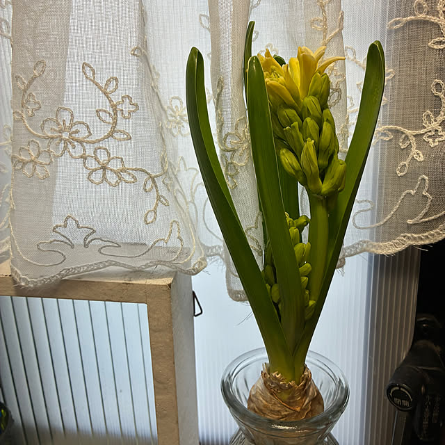 nannanさんの実例写真