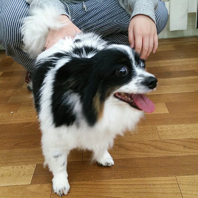 Smileberryさんの実例写真