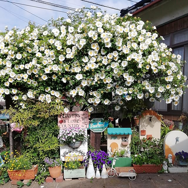 haruiroさんの部屋