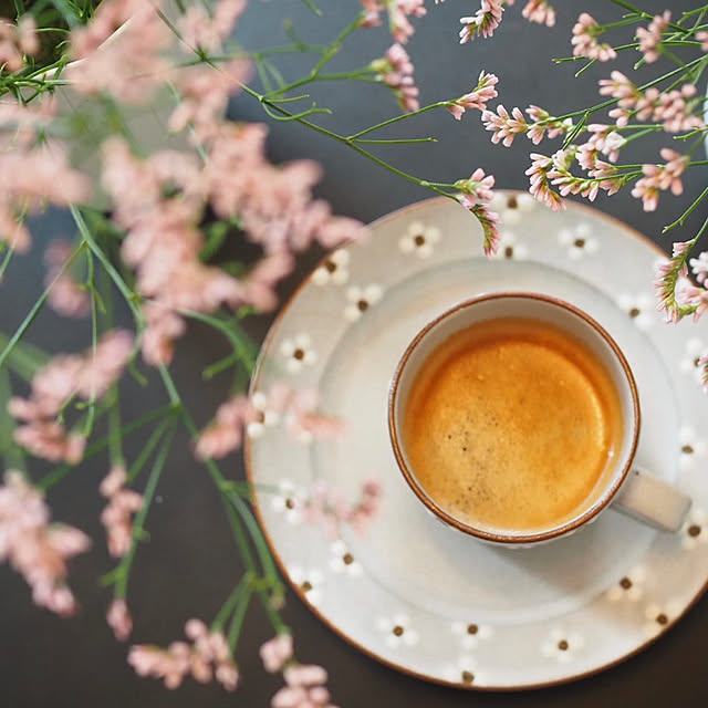 コーヒーのある暮らし/おうち時間を楽しむ/お気に入りに囲まれた暮らし/うつわ好きな人と繋がりたい/器...などのインテリア実例 - 2022-06-07 19:05:27
