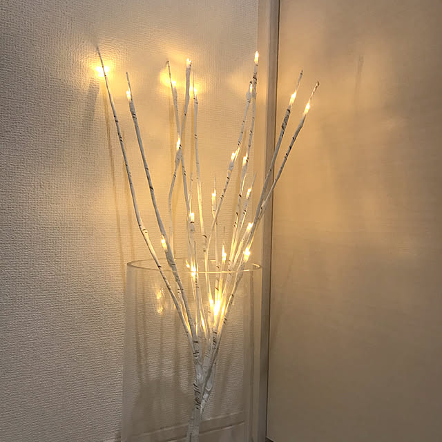 ainatuさんの実例写真