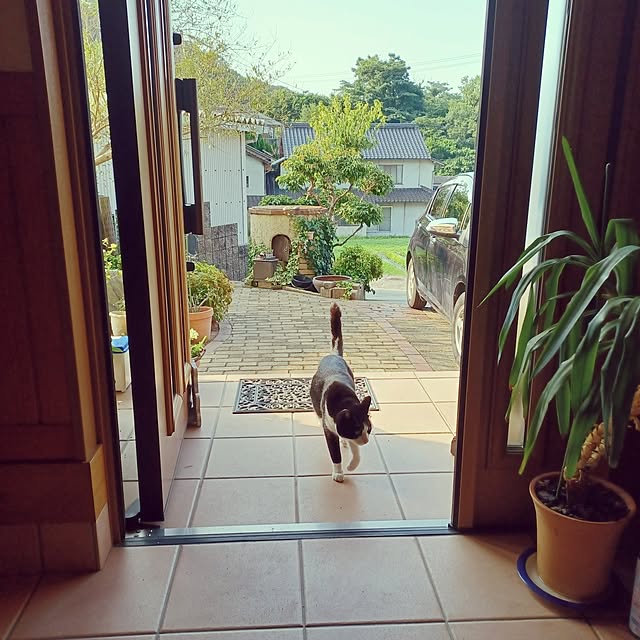 anzuさんの実例写真