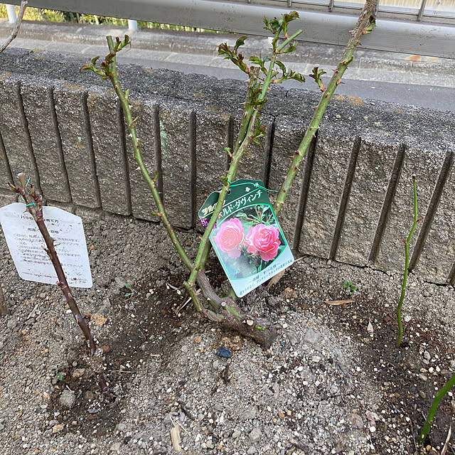 KUMIKOさんの実例写真