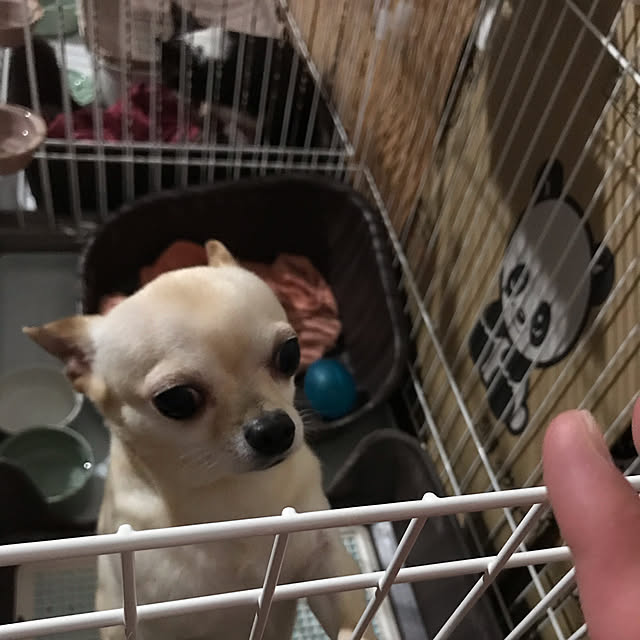 nacchintunnさんの実例写真