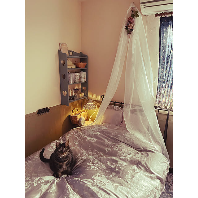 momocchiさんの部屋