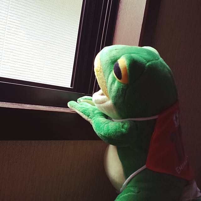 Naomiさんの実例写真