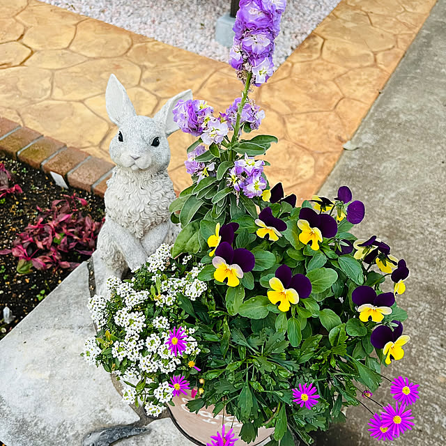 yuccoさんの実例写真