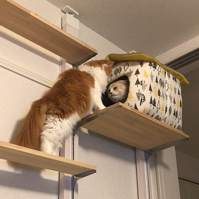 H.Tさんの実例写真