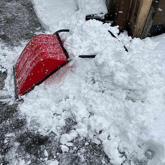 fumikoiさんの部屋