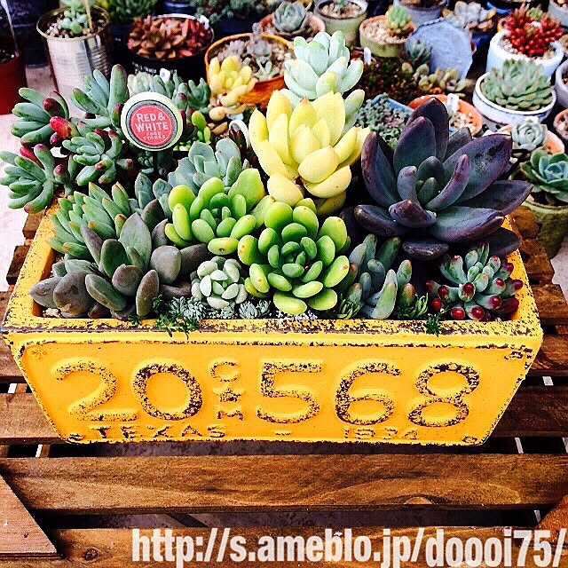 doooi.75さんの実例写真