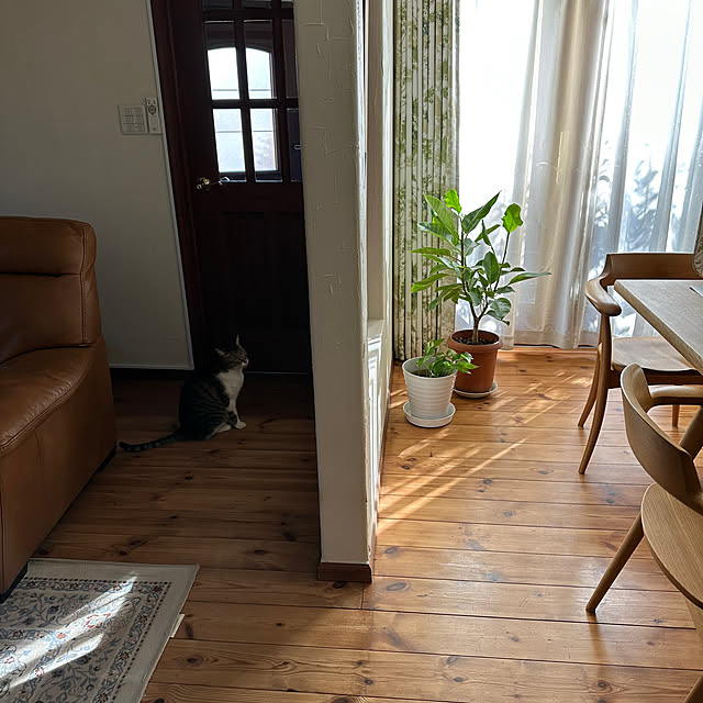 yurari.bonnさんの部屋