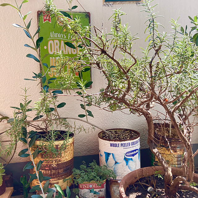 heidiさんの部屋