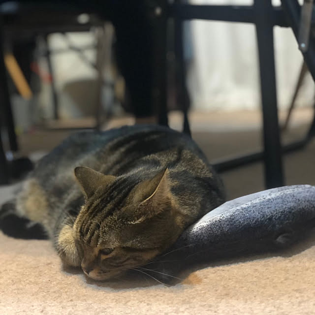 mikomaruさんの実例写真