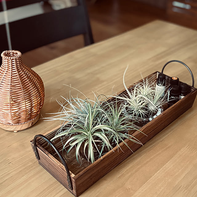 ikupyonさんの部屋