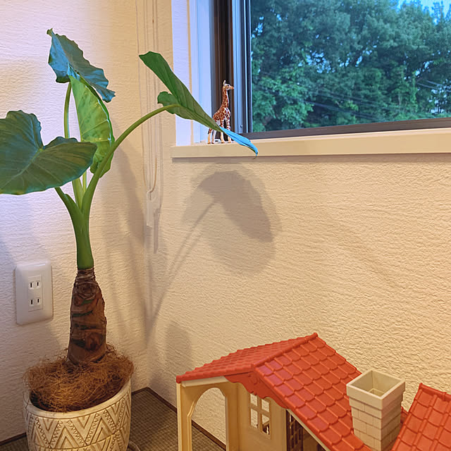 cocoerine.mkさんの実例写真