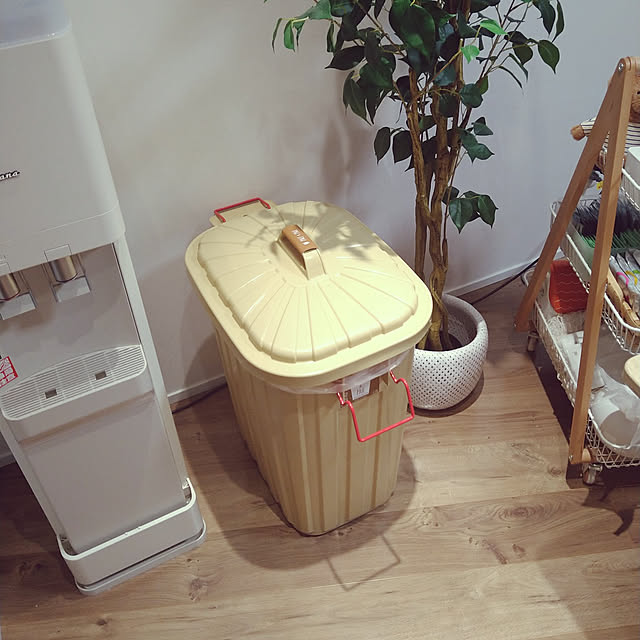 キッチン/フェイクグリーン/ニトリ/楽天/1LDK...などのインテリア実例 - 2021-12-29 03:16:57