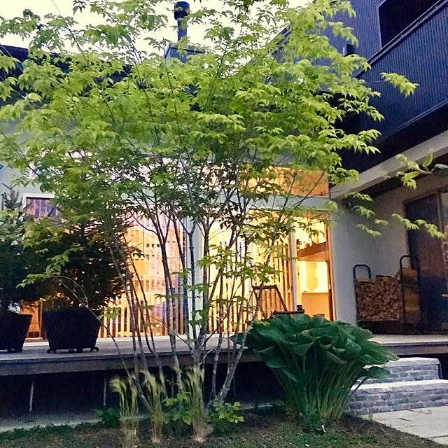 1go-Sanさんの実例写真