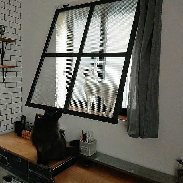 kumiさんの実例写真