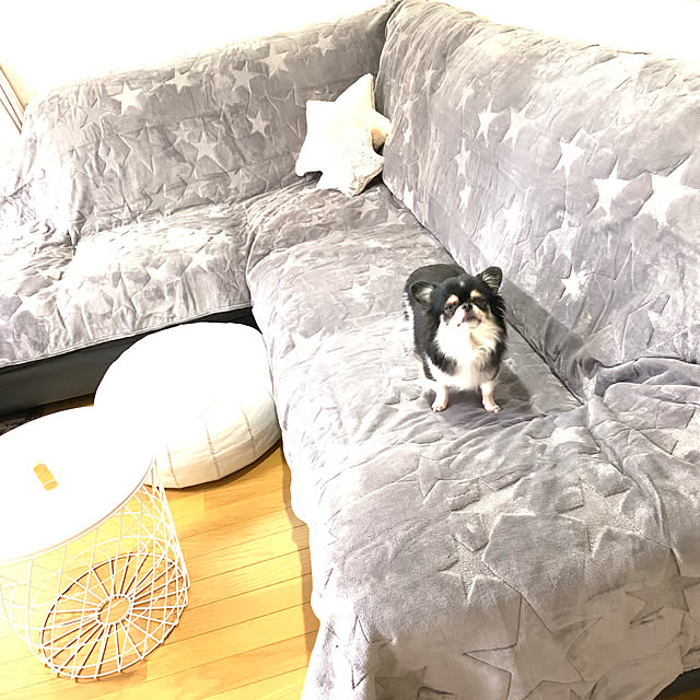 eriさんの実例写真