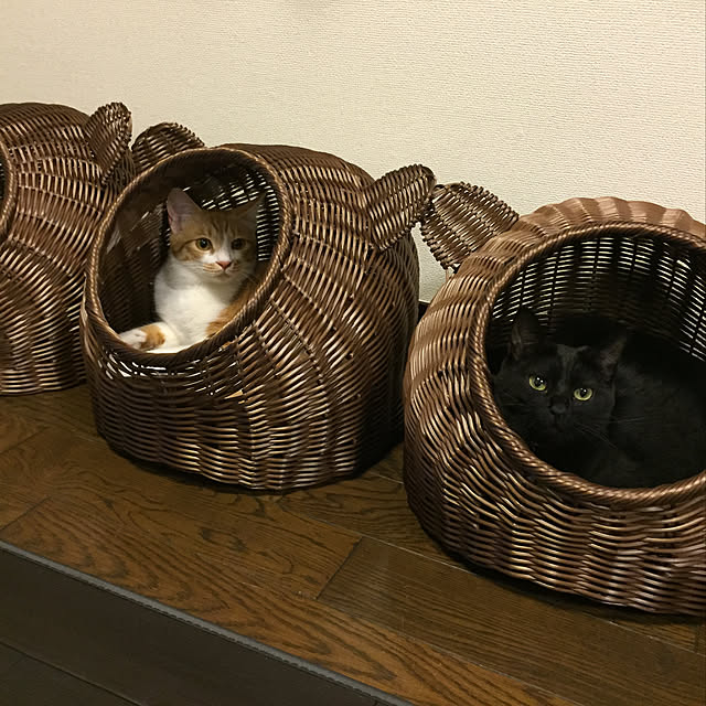 tomiさんの実例写真